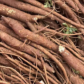 冬天就是要当归炖鸡^_^香到没边