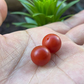 保山南红原矿圆珠子