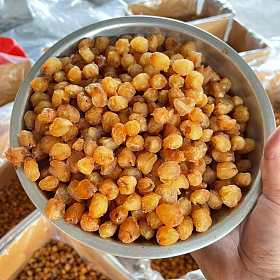 2025特级老树桂圆活动