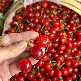 夏日尝鲜之【应季水果】