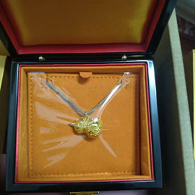 老铺爬藤葫芦小号