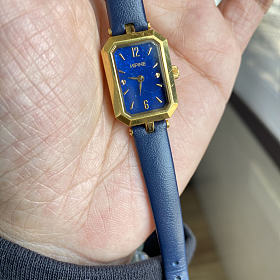 西普尼小克重金表