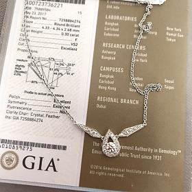 尚美款18k钻石项链 麒麟红葫芦钻石项链 小香COCO的钻石项链