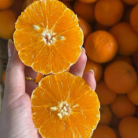 无科技狠活的纯天然沃柑～