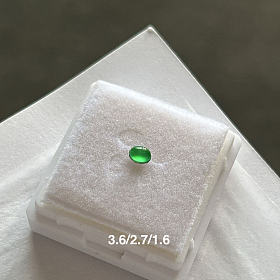 小小顶珠