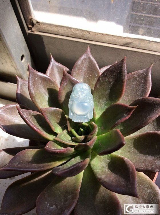 转让镶嵌好的鱼，一个Q萌佛，一个大绿叶_翡翠