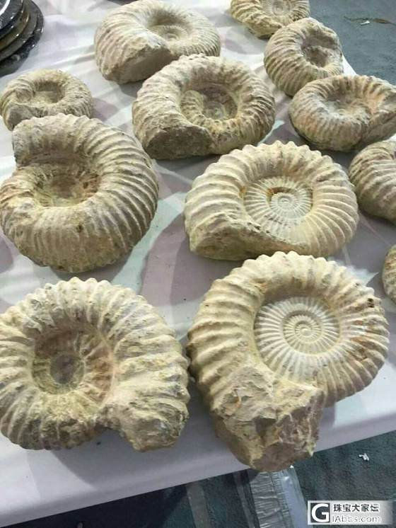 我的宝石故事（四）-------没去成的图桑3（多图完结篇）_集散地名贵宝石