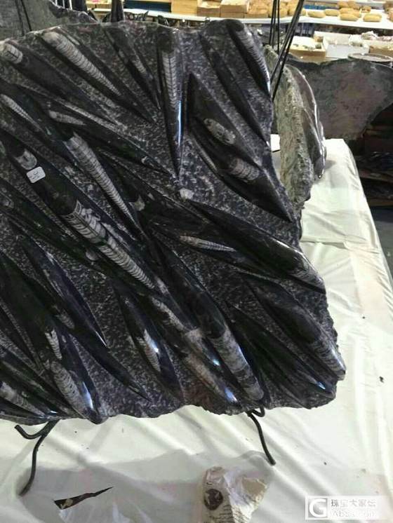 我的宝石故事（四）-------没去成的图桑3（多图完结篇）_集散地名贵宝石