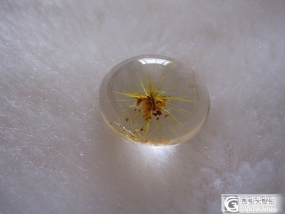 金 发 晶 花  VS  金 太 阳 花_水晶