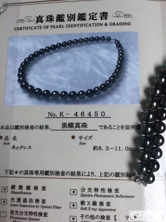 土豪场：顶级大溪地_有机宝石珍珠