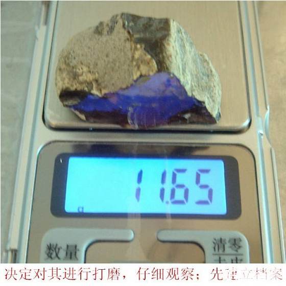 虫珀记_有机宝石