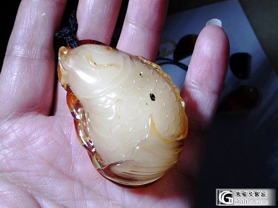 以为买了个漂亮胖鱼鱼_有机宝石