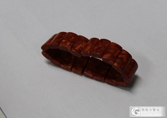 大家给看看这是珊瑚吗_珊瑚