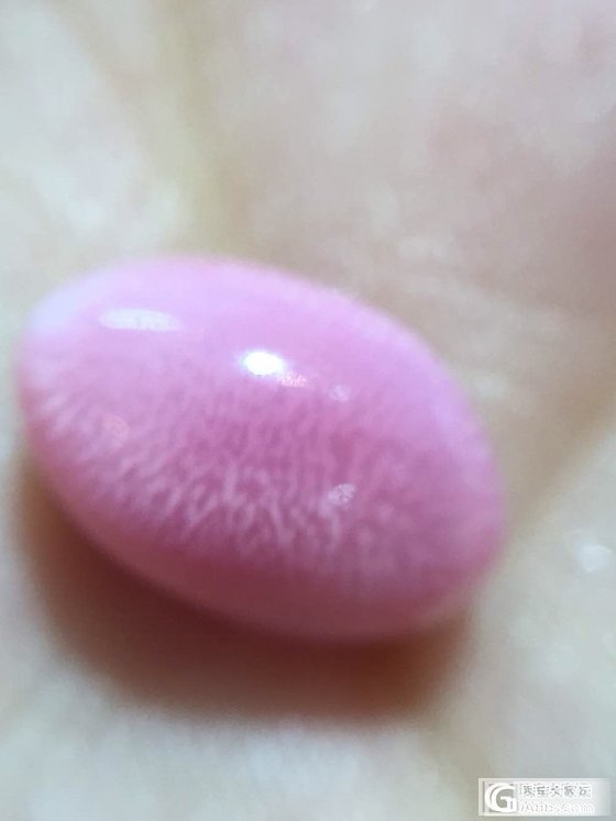 超美海螺猪_海螺珠刻面宝石少见宝石
