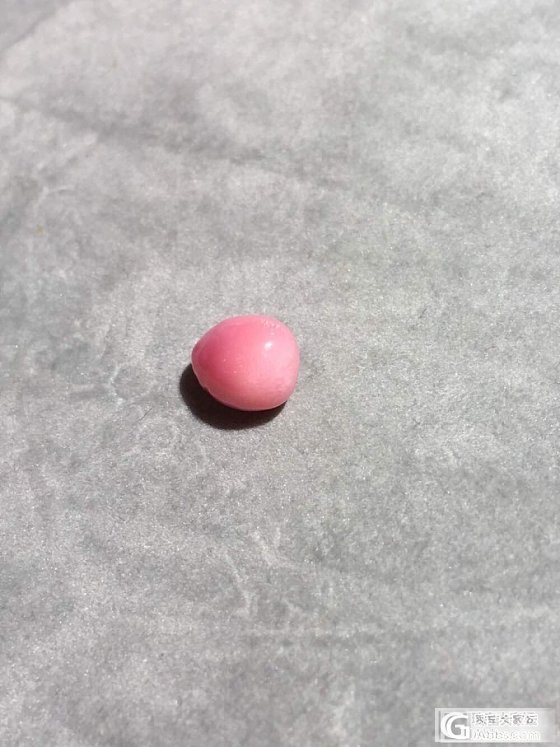 还是超美海螺猪_海螺珠刻面宝石少见宝石