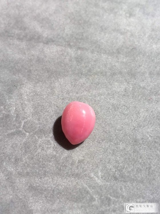 还是超美海螺猪_海螺珠刻面宝石少见宝石