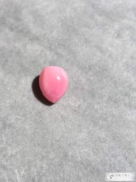 还是超美海螺猪_海螺珠刻面宝石少见宝石