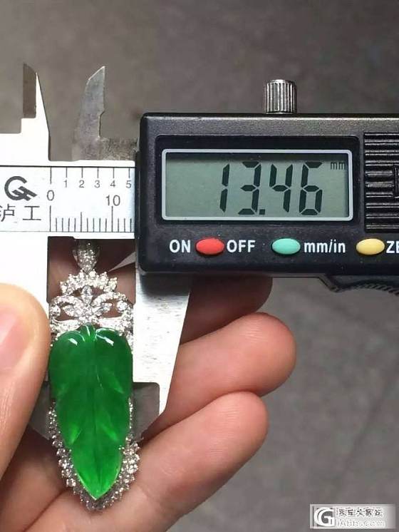 大家看看这个色辣的满绿金枝玉叶挂件多少能拿_翡翠