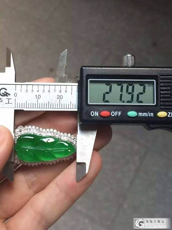 大家看看这个色辣的满绿金枝玉叶挂件多少能拿_翡翠