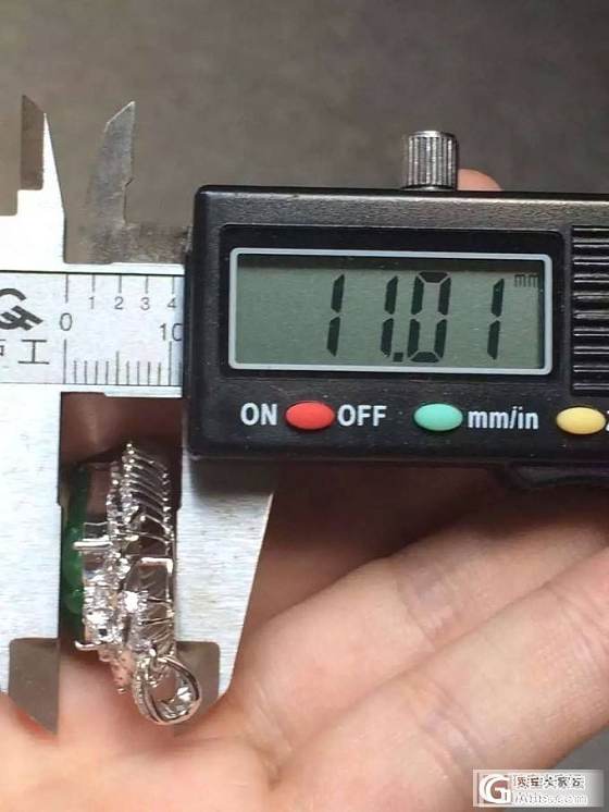 大家看看这个色辣的满绿金枝玉叶挂件多少能拿_翡翠
