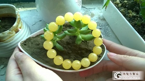 来秀秀我得大珠子，大家随评啊_蜜蜡