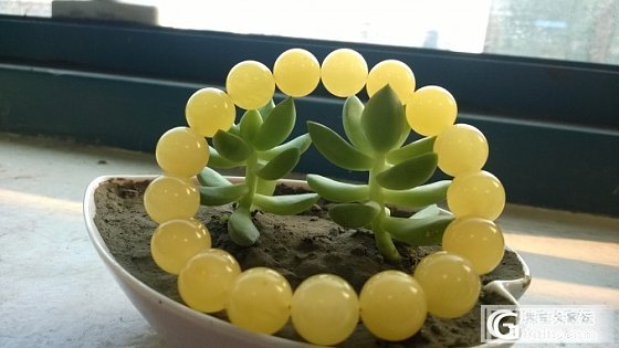 来秀秀我得大珠子，大家随评啊_蜜蜡