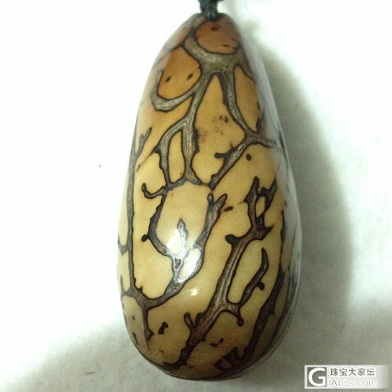 千眼菩提_菩提子