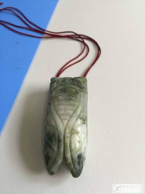 蝉_翡翠