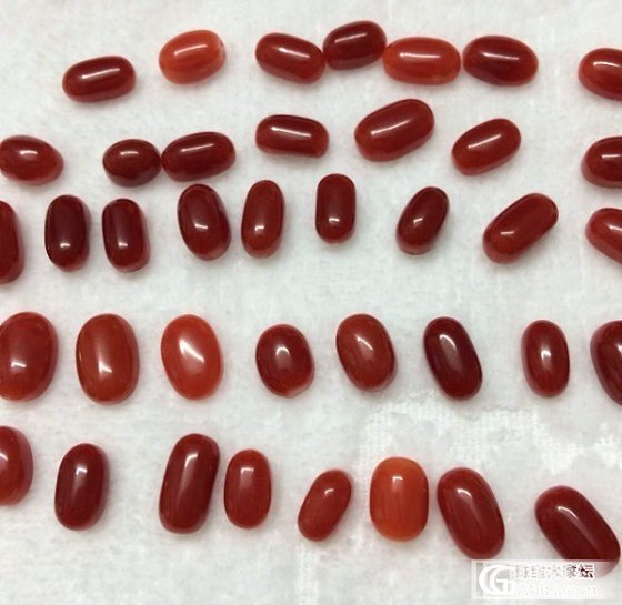 超低批发价出一批阿卡珊瑚戒面求秒，求通走。单个也可。_有机宝石