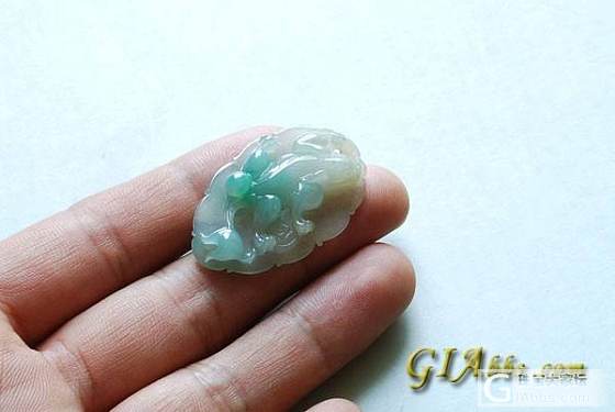 ！！！2件小货  是你的菜不_金