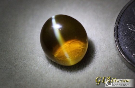 看看这颗金绿猫眼 高手估个价吧_金绿宝石
