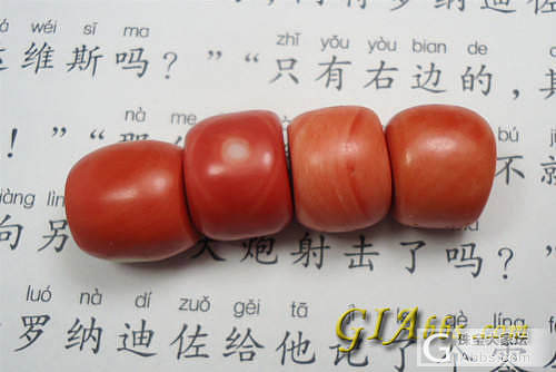 4粒珊瑚_有机宝石