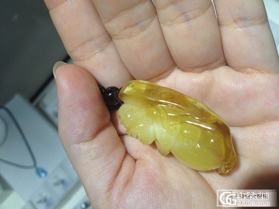 新人求教，这是蜜蜡还是琥珀，值得入么？_琥珀