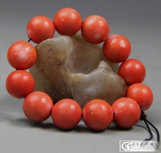 红珊瑚真假？_珊瑚