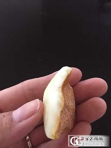 白蜜_蜜蜡
