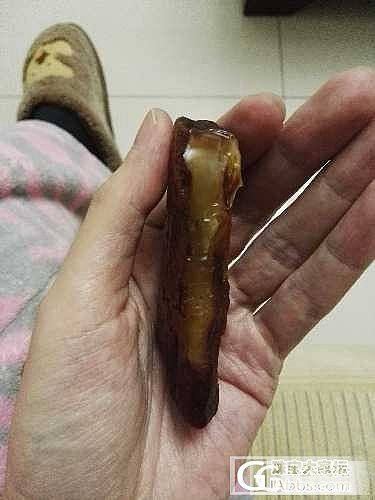 我好像中奖了，原石里面有植物_蜜蜡