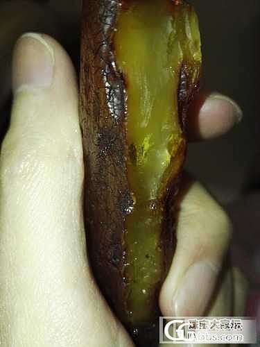 我好像中奖了，原石里面有植物_蜜蜡