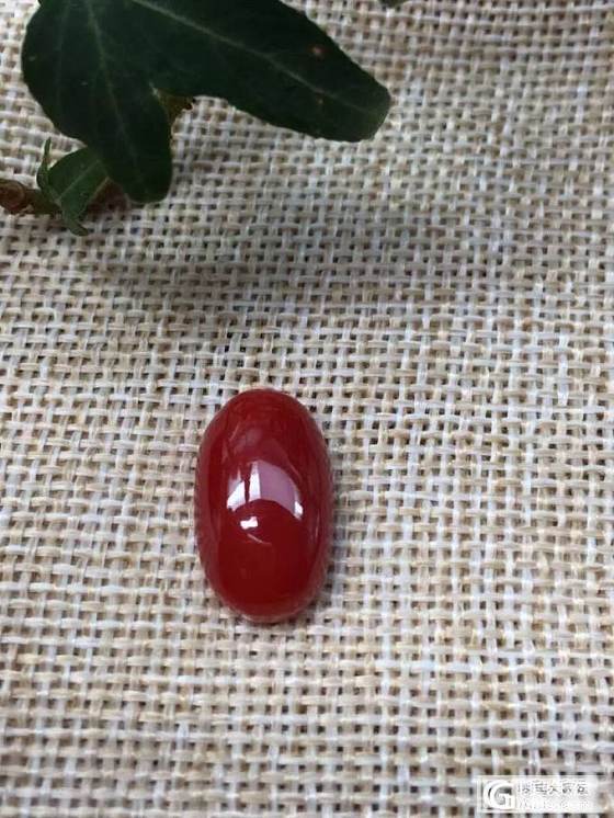 《红珊瑚》纯天然阿卡牛血红完美界面_珊瑚