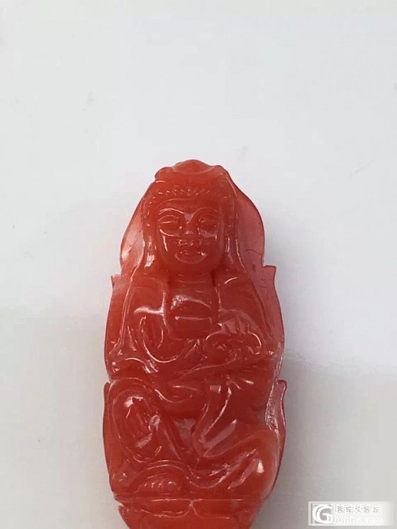 红珊瑚阿卡水润观音_珊瑚