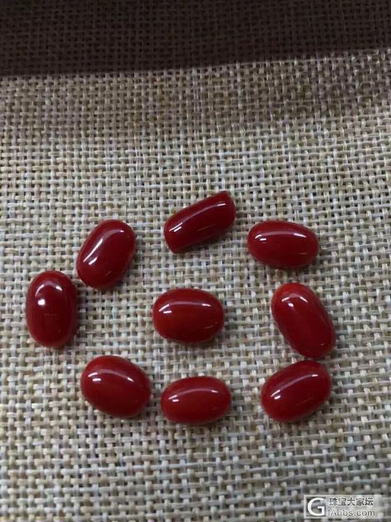 红珊瑚阿卡戒面_珊瑚