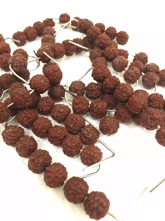 刚入手不久的，求意见_文玩菩提子