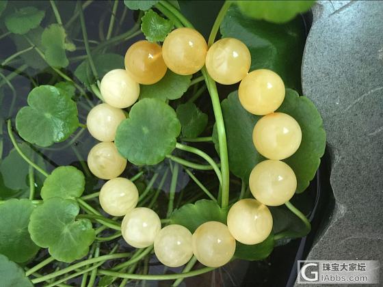 13大珠蜜蜡手串求秒_蜜蜡