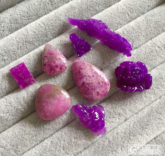 美丽的舒！喜欢的来吧_舒俱来