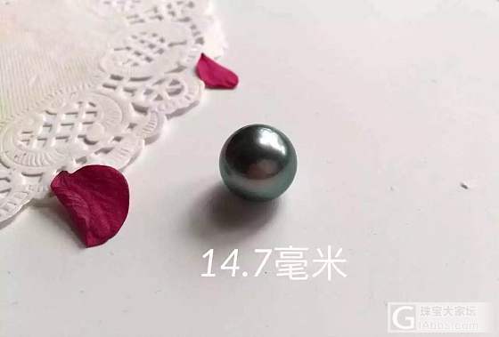大溪地黑珍珠_珍珠