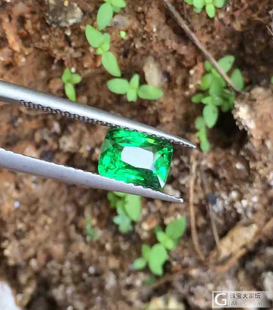 一天一宝石_沙弗莱刻面宝石