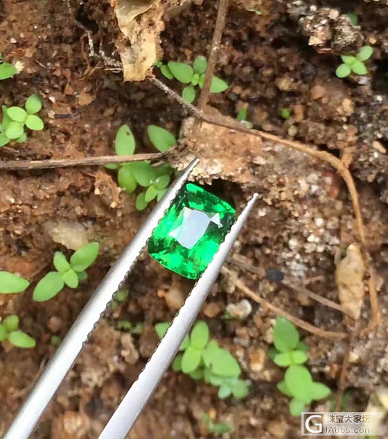 一天一宝石_沙弗莱刻面宝石