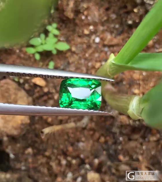 一天一宝石_沙弗莱刻面宝石