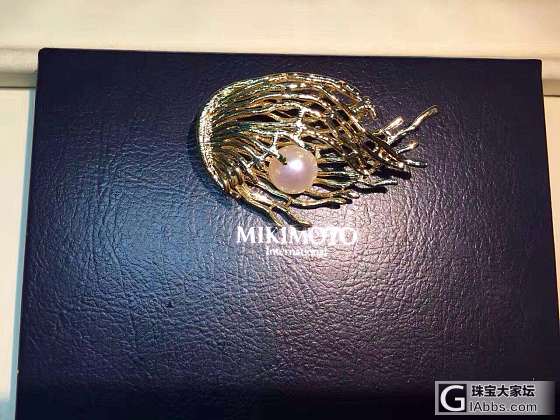 秋意已浓，冬已不远     胸针是为长衣增加些许华丽_胸饰珍珠