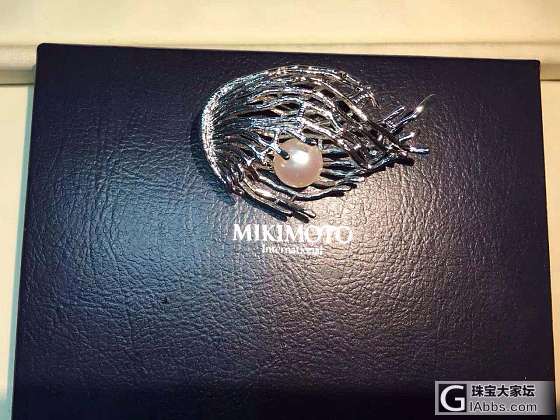 秋意已浓，冬已不远     胸针是为长衣增加些许华丽_胸饰珍珠