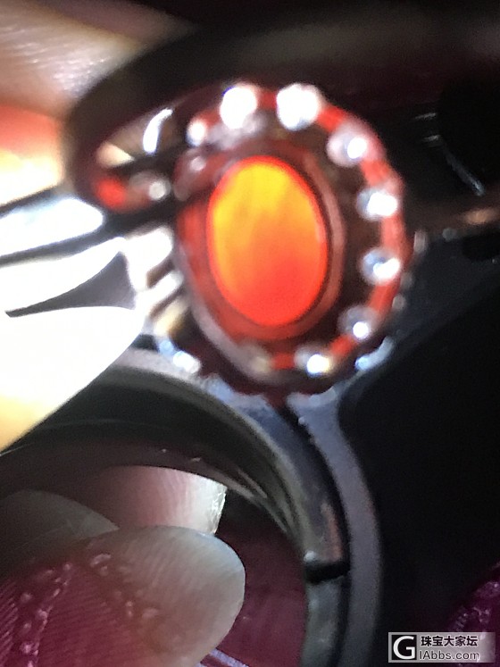 珊瑚戒指_珊瑚